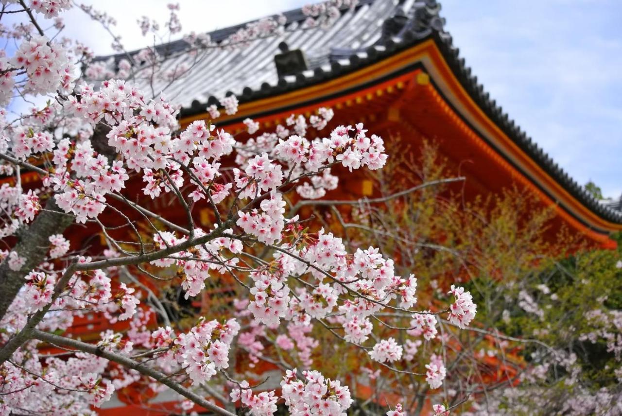 Stay Sakura Kyoto Matsuri Exterior photo